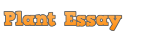 Plant Essay